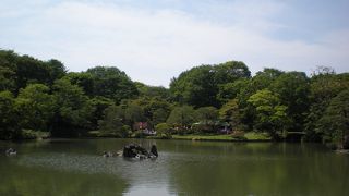都会にある緑豊かな公園