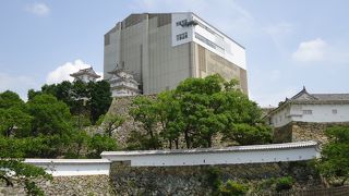 天空の白鷺は必見