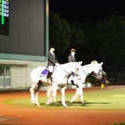関西唯一のナイター競馬