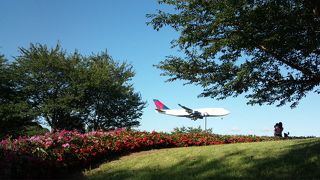 飛行機が近くに見える