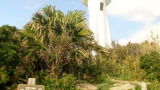 実際には２１もあるといわれています