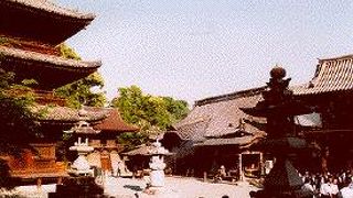 四国八十八所の由緒あるお寺ですが。。。。。