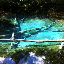 とってもきれい！