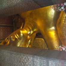 大きすぎて写真に収まらない