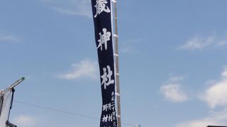 みごとな藤です