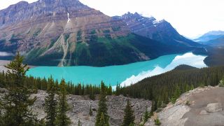 展望台は狭いので観光バスの団体がくるといっぱいになります。