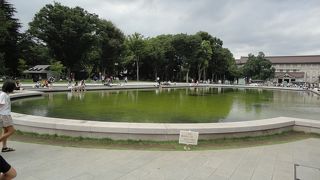 都会のオアシス