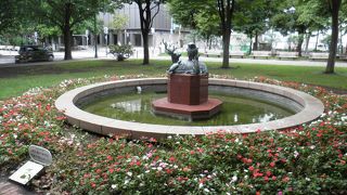 花壇が植え替えられた