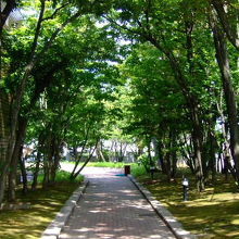 美術館　「野外彫刻の散歩道」