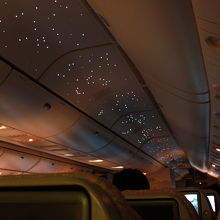 夜になると添乗にお星様！