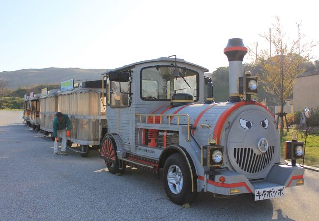 人は多いが十分遊べるスペース