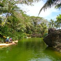 カヤックが手軽にできて面白かった！