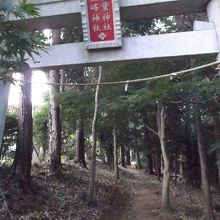 雑木林の中、奥にお社があります。三峯神社も一緒
