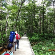 気持ちよく歩けます