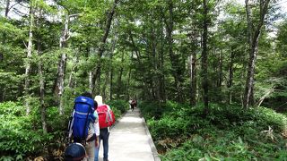 自然と溶け合う