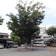 自然が素敵にマッチしていました