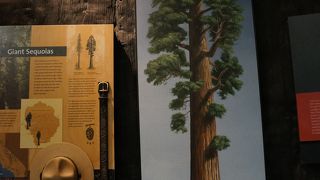 まずはこちらで情報収集！