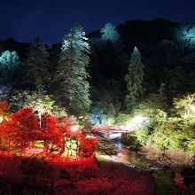 紅葉のライトアップが素晴らしい