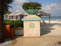 The Westin Grand Cayman Seven Mile Beach Resort & Spa 写真