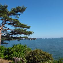 前日は雨でしたが、この日晴れて本当によかったです。