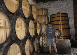 キンタ ド テド ワイナリー