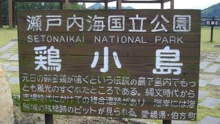 鶏小島