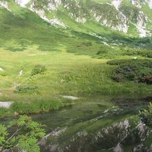 現地で見るともっと感動します