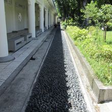 石は歩くと刺激的〜イタイ