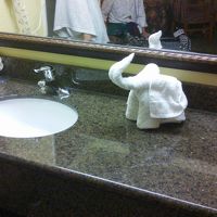 タオルの象さんです。