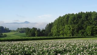 何度でも行きたい！