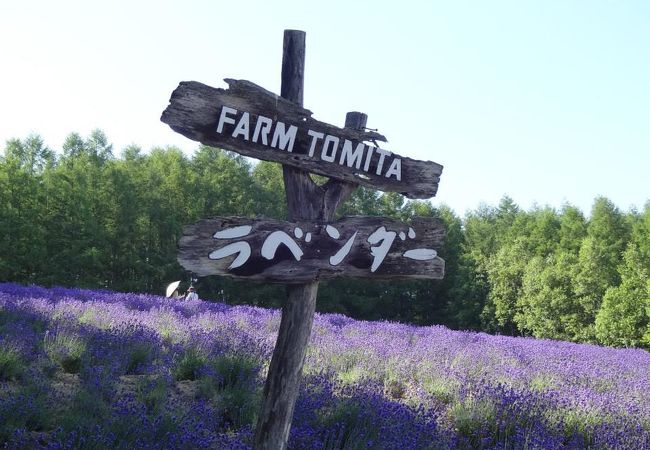 ファーム富田 クチコミ アクセス 営業時間 富良野 フォートラベル
