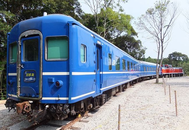 寝台列車もあります（これは車内には入れません）