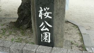 桜の名所香里ヶ丘桜公園（さくらこうえん）