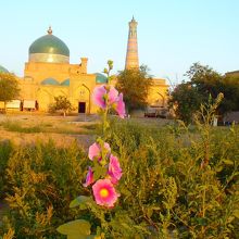 タチアオイの花を前景に。