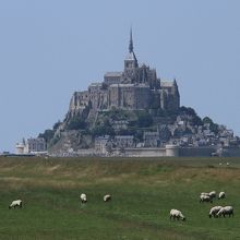 バスの中からモンサンミッシェルと羊が見えました。
