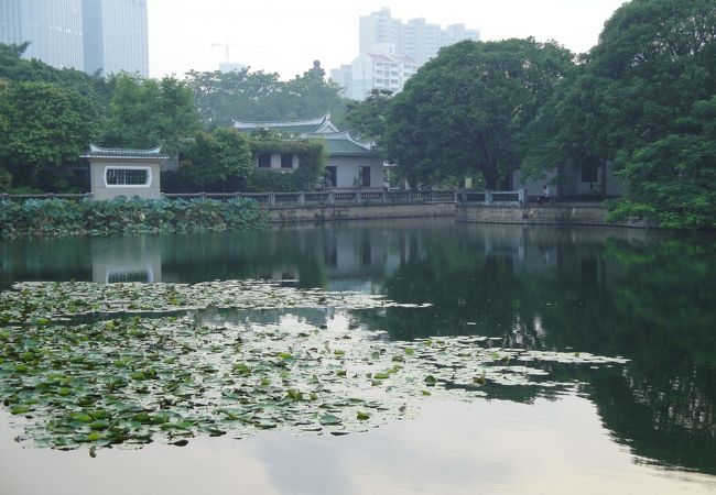 町のなかの広い公園