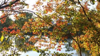 池のほとりの紅葉がおすすめ