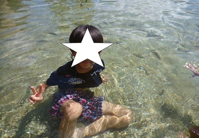 関西電力宮津エネルギー研究所丹後魚っ知館 クチコミ アクセス 営業時間 天橋立 宮津 フォートラベル