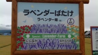 臨時停車する駅です！