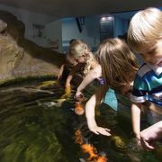 街中にある水族館