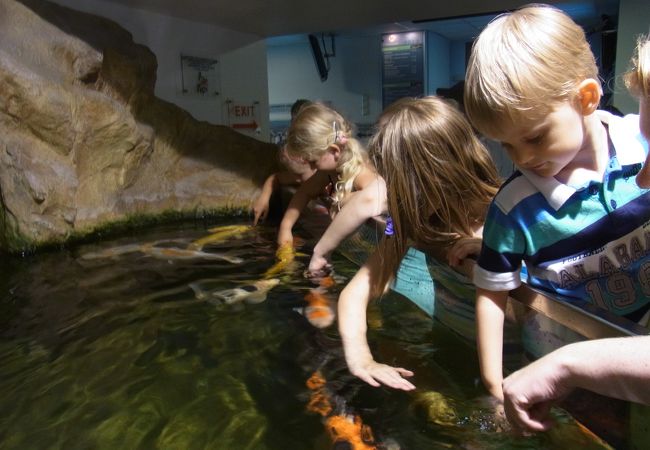 街中にある水族館