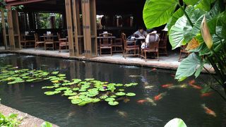 行く価値があります