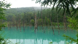 青い池は本当に青い！