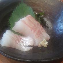 カピカピのスズキ　店長休み