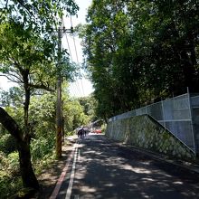 猫空間の前の道