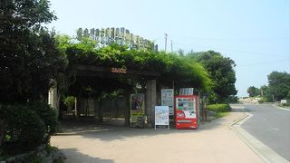 便利な移動方法はこれ