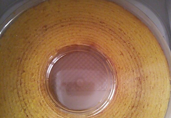 バウムクーヘンがおいしかった