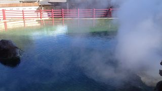 一箇所で大満喫♪(´ε｀ )