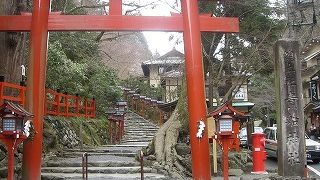 ここと言えば水占い