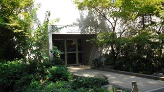 穴場水族館を紹介。井の頭で里山の生き物を見よう